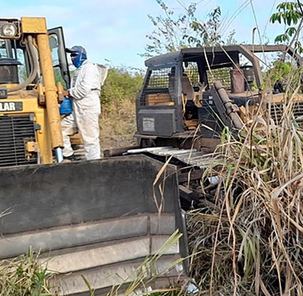 Nota de solidariedade ao Quilombo Tanque da Rodagem/São João, em Matões, MA