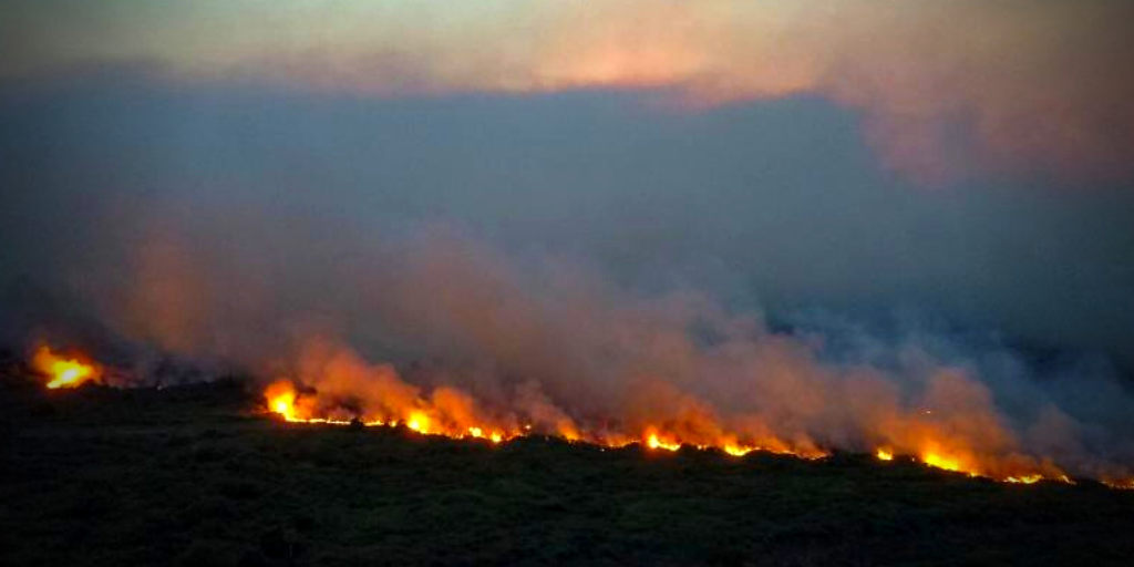 Greve Global pelo Clima: Uma greve contra o fim do mundo