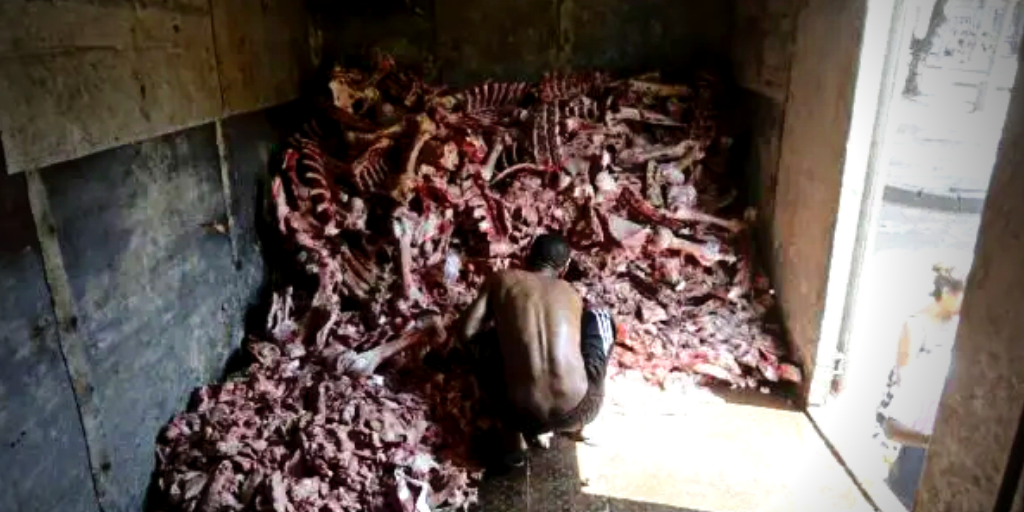 Quatro motivos para ir às ruas neste sábado, 02 de outubro