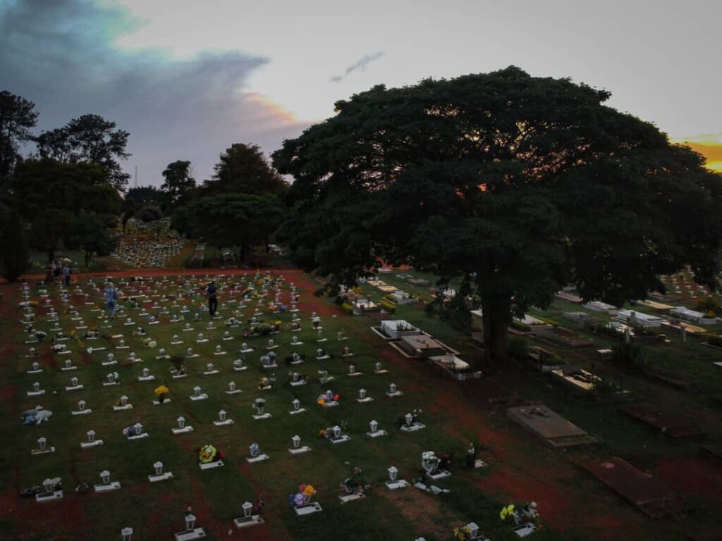 Bolsonaro continua de pé após 600 mil mortes. Por que?