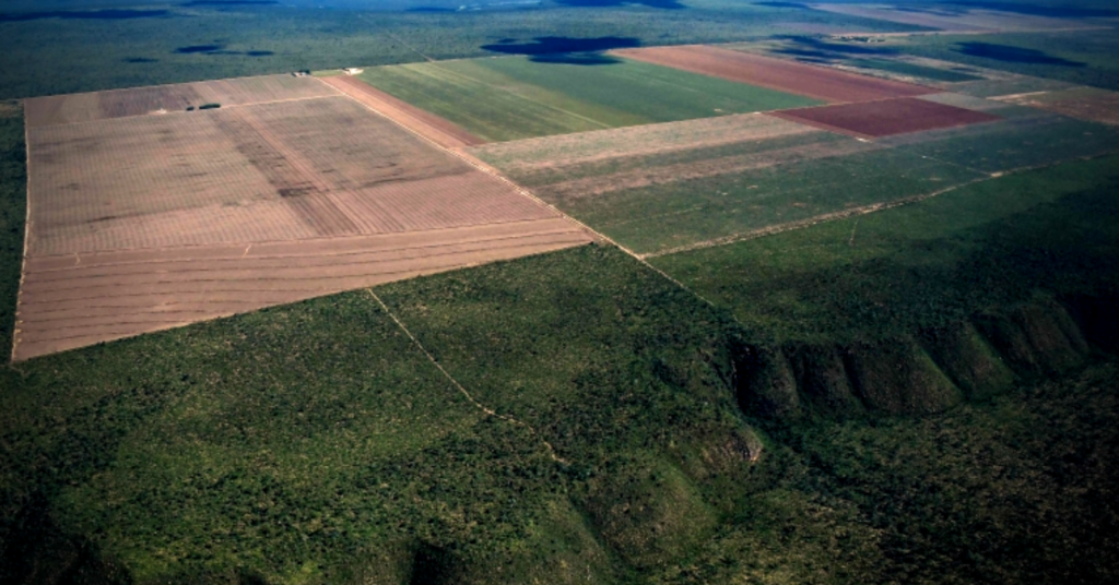 Máquina de guerra e a barbárie maranhense