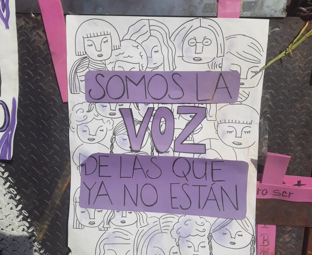 O 8M no México: o espraiar das “olas moradas y verdes”!