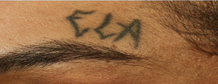 Os 7 pontos imprescindíveis da agenda transfeminista