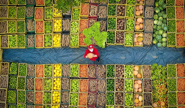 Eleger Lula, derrotar a fome