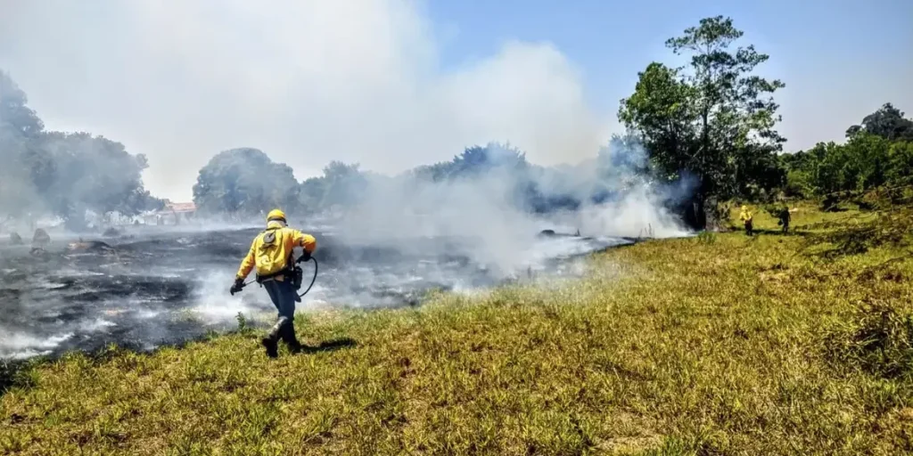 Consertar o clima – simplesmente não é lucrativo